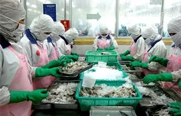 Mỹ điều chỉnh thuế chống phá giá tôm Việt Nam xuống dưới 1%