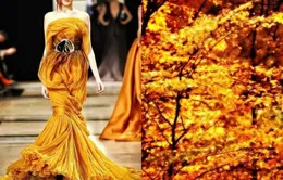 Tuyệt đẹp những mẫu thiết kế lấy cảm hứng từ thiên nhiên