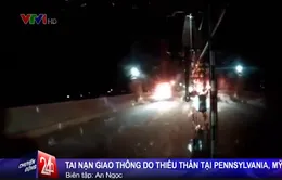 Mỹ: Tai nạn giao thông hy hữu do… thiêu thân