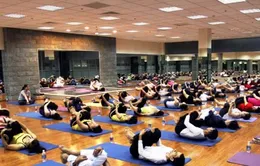 Miễn phí các hoạt động trong ngày Quốc tế Yoga 21/6