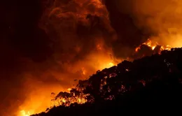 Australia: Cháy rừng lớn do sét đánh