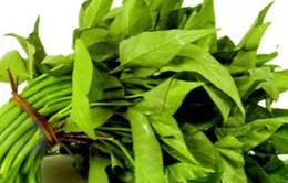 Những loại rau không nên ăn nhiều vào mùa Hè