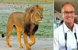 Zimbabwe buộc tội du khách Mỹ giết hại dã man con sư tử Cecil
