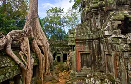 Khu đền Angkor ban hành quy định cấm chụp ảnh khỏa thân