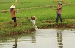 Đề xuất nhiều chính sách khuyến khích phát triển thủy lợi