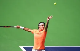 Indian Wells 2015: "Thổi bay" Berdych, Federer thẳng tiến vào bán kết