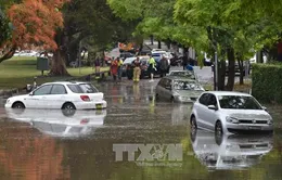 Australia: Bão lớn kèm lốc xoáy tại Sydney