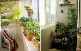Mẹo tận dụng khoảng ban công nhỏ hẹp ở nhà chung cư