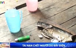 Tai nạn chết người do bẫy điện diệt chuột