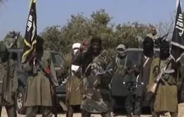 Boko Haram thảm sát 55 người ở Đông Bắc Nigeria