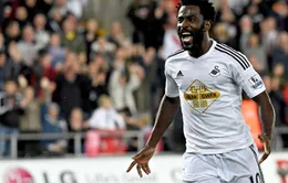 Wilfried Bony sẵn sàng ra mắt Man City trận gặp Newcastle