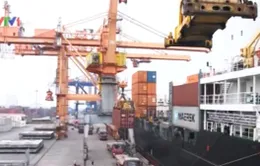 Hàng nghìn container hàng tồn đọng tại các cảng biển quốc tế