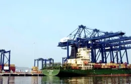 Cảng Cái Lân lỗ hơn 1triệu USD/tháng