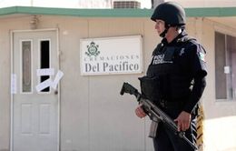 Cảnh sát Mexico tìm thấy 60 thi thể trong lò hỏa táng bỏ hoang
