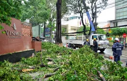 TP.HCM: Mưa dông bất ngờ, ít nhất 6 người thương vong