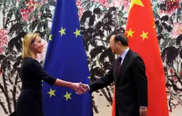 Đối thoại chiến lược cấp cao Trung Quốc – EU lần thứ 5
