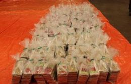 Hà Lan tịch thu hơn 1 tấn cocaine giấu trong lô hàng chở dứa