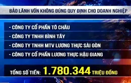 Kiến nghị xử lý hơn 205 tỷ đồng sai phạm tại Tổng Công ty Lương thực miền Nam