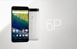 Nexus 6P chính thức ra mắt với màn hình 5,7 inch, giá 499 USD