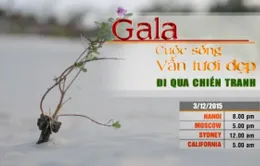 Gala 'Cuộc sống vẫn tươi đẹp: Đi qua chiến tranh' lên sóng VTV4