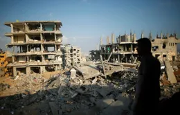 50% người dân muốn rời khỏi Dải Gaza