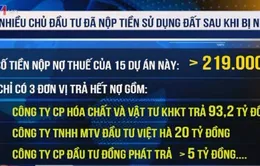 Nhiều chủ đầu tư đã nộp tiền sử dụng đất sau khi bị nêu tên