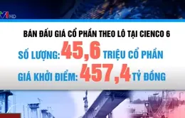 Bán cổ phần theo lô tại Cienco 6 và Cienco 5
