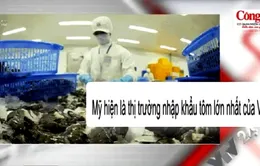 Điểm báo kinh tế 14/9: Nhiều tin vui cho xuất khẩu