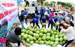 Thực hư việc tỉnh đoàn Quảng Ngãi “ăn chênh” tiền bán dưa hấu của người dân