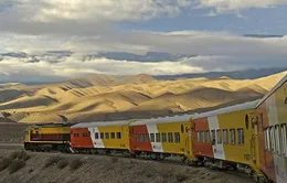 Argentina thông qua dự luật quốc hữu hóa ngành đường sắt