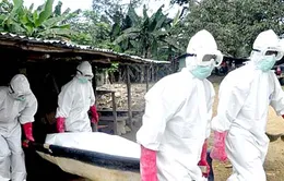 Quốc tế cam kết viện trợ các quốc gia ảnh hưởng bởi Ebola