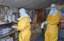 Guinea công bố hết dịch Ebola