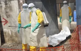 WB viện trợ thêm 650 triệu USD cho các nước có "ổ dịch" Ebola