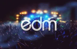 Việt Nam - Điểm đến hấp dẫn của dòng nhạc EDM