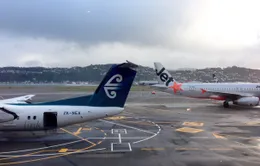 New Zealand: Lỗi radar khiến toàn bộ máy bay phải hạ cánh