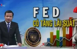 "Khả năng FED tăng lãi suất là 50/50"