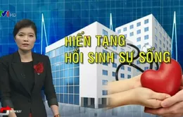 Ghép tạng ở Việt Nam: Công nghệ, pháp lý sẵn sàng nhưng khan hiếm nguồn hiến tạng