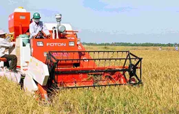 Thành tựu xóa đói giảm nghèo của Việt Nam