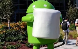 Android thế hệ mới được đặt tên theo kẹo dẻo Marshmallow