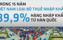 FTA Việt Nam - Hàn Quốc chính thức có hiệu lực