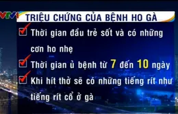 Triệu chứng của bệnh ho gà