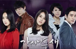 Phim hay trên VTVcab 4 - Kênh 17: Cánh chim cô đơn