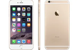 iPhone 6s chưa ra mắt, nhiều fan Việt đã tính chuyện đặt hàng