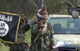 IS tuyên bố chấp nhận liên minh với Boko Haram