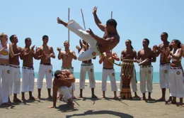 Điệu nhảy Capoeira - Di sản văn hóa phi vật thể của Brazil