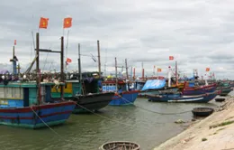 Phê duyệt quy hoạch hệ thống cảng cá, khu neo đậu tránh trú bão
