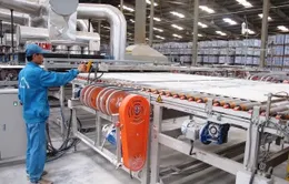 Viglacera đẩy mạnh sản xuất kính tiết kiệm năng lượng