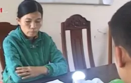 Lâm Đồng: Lừa đảo bán bóng đèn với giá trên trời