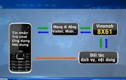 Ngừng cung cấp dịch vụ qua đầu số 8X61 lừa 2,6 tỷ đồng