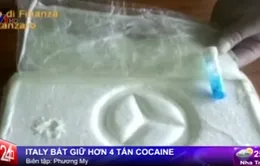 Italy bắt giữ hơn 4 tấn cocaine